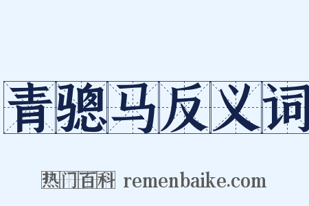 青骢马反义词是什么意思的图片